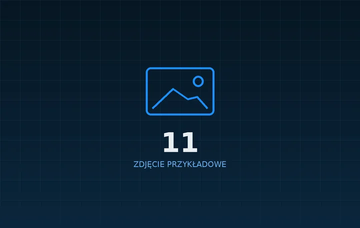 Zdjęcie z serwisu New-Service 11